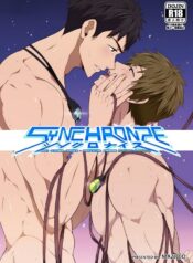 Synchronize – Free! dj